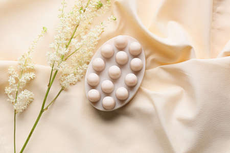 Massage soap bar and plant branch on light backgroundの写真素材