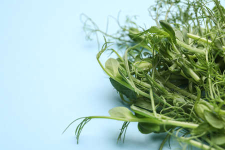 Fresh micro green on color background, closeup