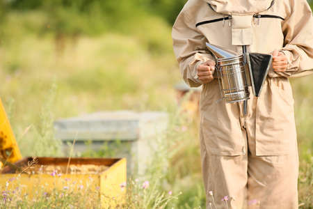Female beekeeper with smoker at apiary