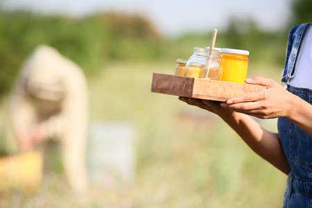 Female beekeeper with sweet honey at apiaryの写真素材