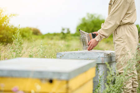 Beekeeper working at his apiaryの写真素材