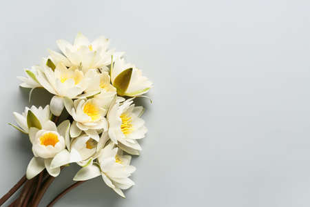 Bouquet of beautiful blooming lotus flowers on gray backgroundの写真素材