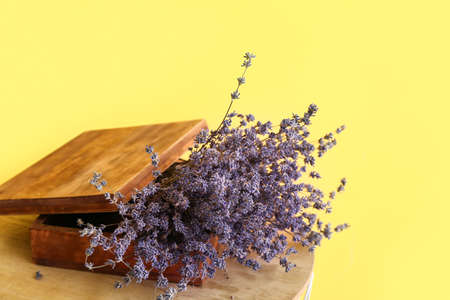 Bouquet of beautiful lavender flowers on table against color background