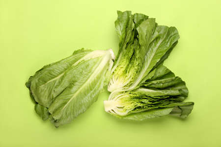 Fresh romaine lettuce on color backgroundの写真素材