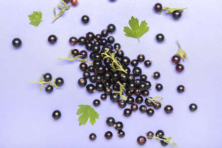 Ripe black currant on color background