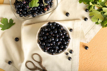 Bowl with ripe black currant on color backgroundの写真素材