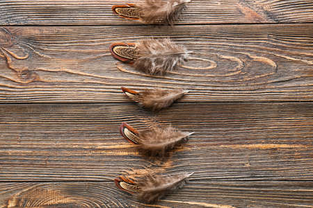 Beautiful pheasant feathers on wooden backgroundの写真素材