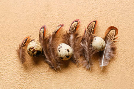 Beautiful pheasant feathers and eggs on beige backgroundの写真素材