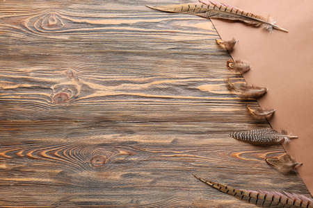 Beautiful pheasant feathers on wooden backgroundの写真素材