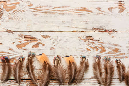 Beautiful pheasant feathers on white wooden backgroundの写真素材