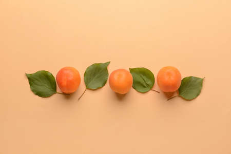 Tasty ripe apricots on color backgroundの写真素材