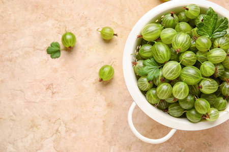 Colander with fresh ripe gooseberry on color backgroundの写真素材