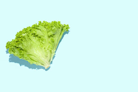 Bunch of fresh lettuce on blue background