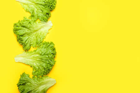 fresh lettuce leaves on yellow backgroundの写真素材