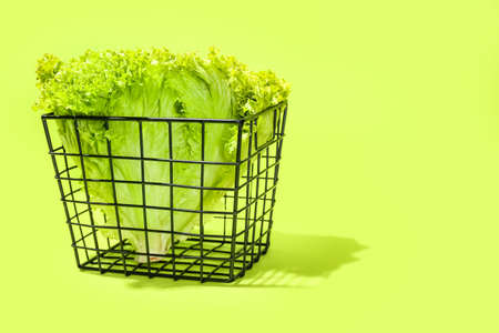 Basket with fresh lettuce salad on color backgroundの写真素材