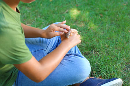 little boy with snail in parkの写真素材