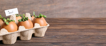 Tag with word SEED and young plants in eggshells on wooden background with space for text