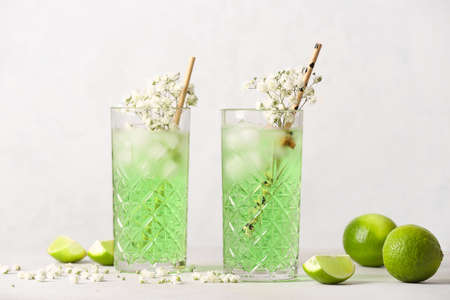 Glasses with tasty cocktail and beautiful gypsophila flowers on light background