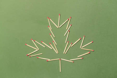 Maple leaf made of matches on green background. Canadian flag concept