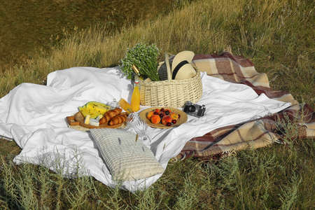 Tasty food and drink for romantic picnic outdoors