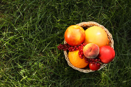 Wicker basket with fresh fruits on grassの写真素材