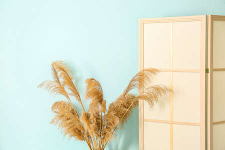 Modern folding screen and pampas grass near blue wallの写真素材
