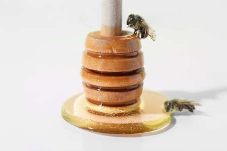 Dipper with honey and bees on white background, closeup