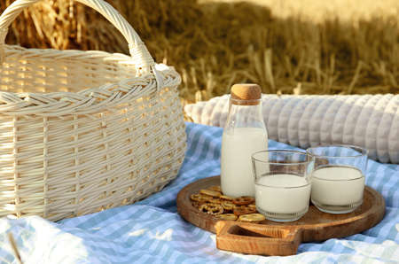 Natural snack in harvested field. Picnic with milk and cookiesの写真素材