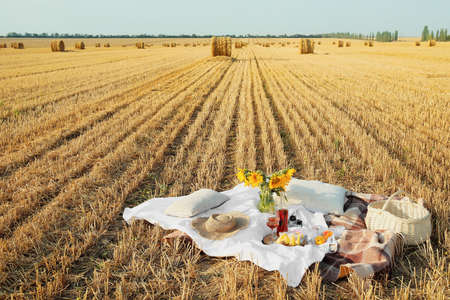 Romantic picnic with tasty food and wine decorated with sunflowers in harvested fieldの写真素材