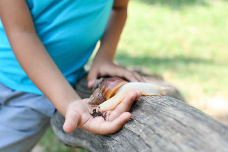 Little boy with snail outdoors, closeupの写真素材