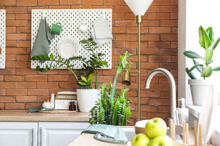 Peg board with kitchenware hanging on brick wall