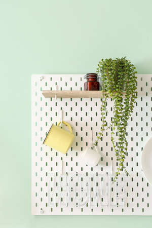Peg board with cups and houseplant hanging on green wallの写真素材