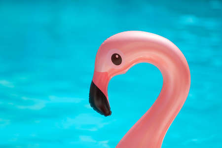 Inflatable ring in shape of flamingo at sea resort, closeup