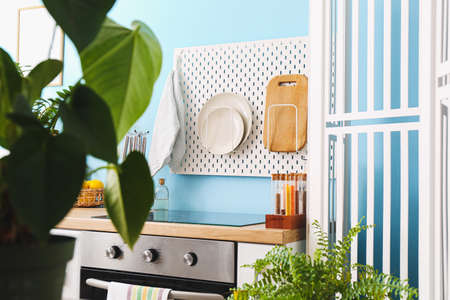 Pegboard with utensils, modern furniture and houseplants in kitchenの写真素材