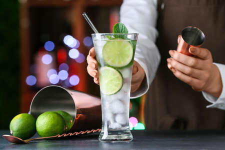 Female bartender making fresh mojito on table in barの写真素材