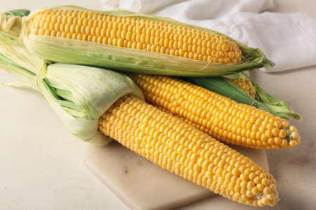 Board with fresh corn cobs on light background