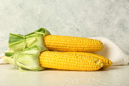 Fresh corn cobs on light background