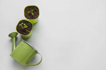 Watering can and flower pots with seedlings on gray backgroundの写真素材
