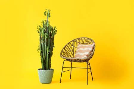Houseplant and armchair on color backgroundの写真素材