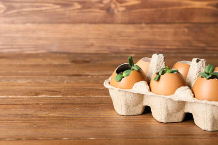 Eggshells with green seedlings on wooden background, closeup