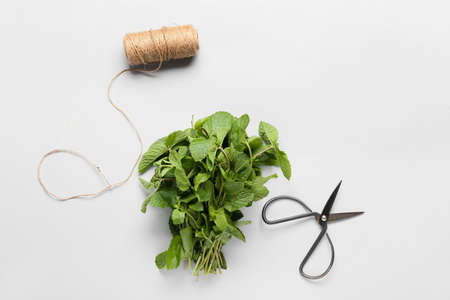 Bunch of fresh mint, scissors and rope on white background