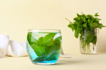Glass of water with mint on color background