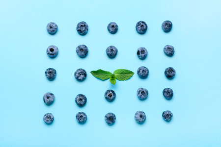 Ripe blueberry and mint on color background