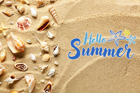 Many sea shells and text HELLO, SUMMER on beach sand, top view