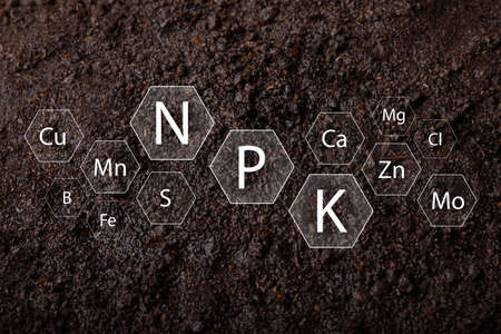 Texture of soil and its specified components, top view