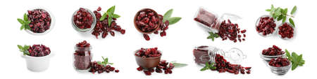 Set of dried cranberries on white backgroundの写真素材