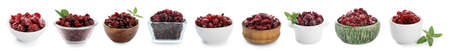 Set of bowls with dried cranberries on white background