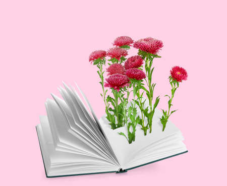 Open book with flowers on light pink backgroundの写真素材