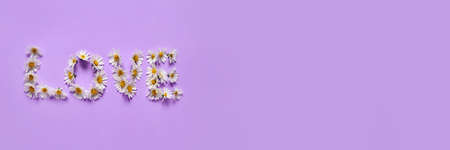 Word LOVE made of chamomile flowers on lilac background with space for textの写真素材