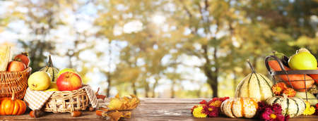 Baskets with gathered harvest on table in autumn gardenの写真素材